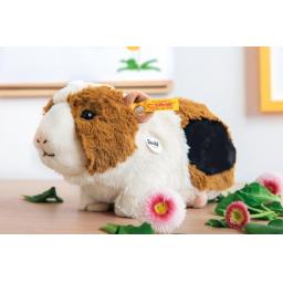 Dalle Guinea Pig 2.jpg