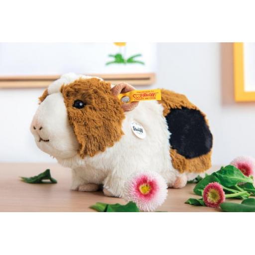 Dalle Guinea Pig 2.jpg