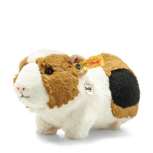 Dalle Guinea Pig 1.jpg