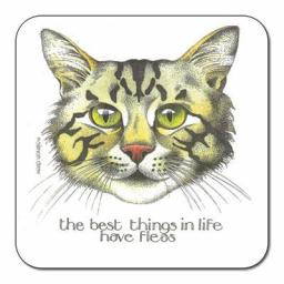 SDR026-fleas_coaster.jpg