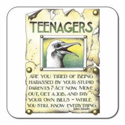 SDR055-Teenagers_coaster.jpg