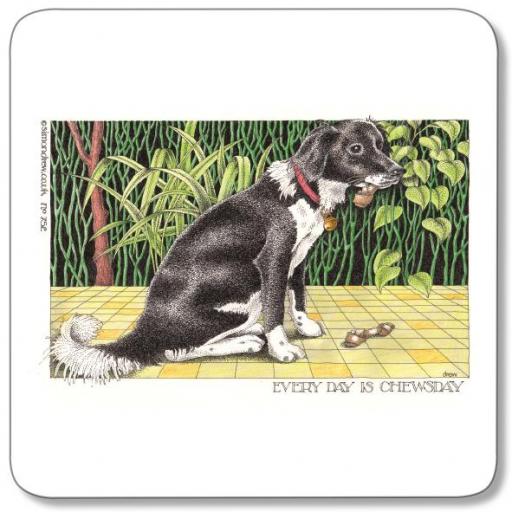 Chewsday Coaster
