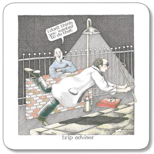 Trip Advisor Coaster